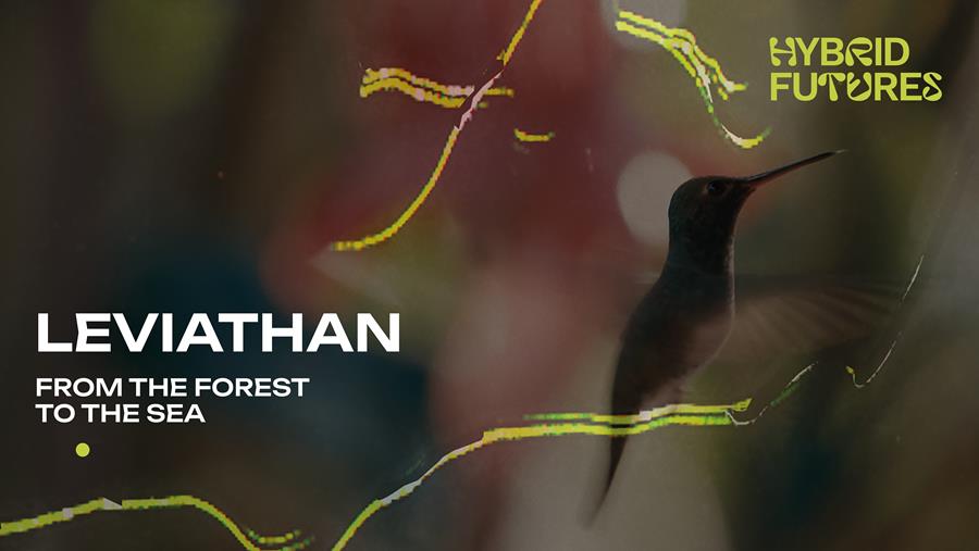A promotional image showing a still image from Leviathan Episode 8, which includes the dark silhouette of a bird against an abstract dark green, maroon, and yellow background. Text on top of the image reads: 'Hybrid Futures Leviathan From the Forest to the Sea'