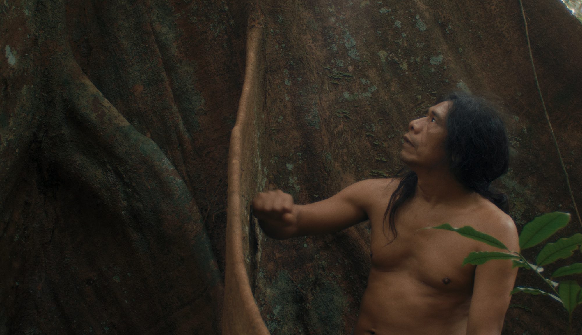 A still from episode 8 of Leviathan, shows an South American indigenous man, pounding a tree with his fist, looking up at it.