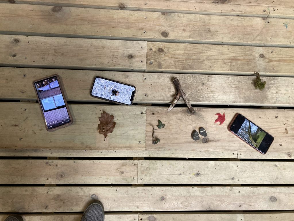 An image capturing phones, with there screens on, lay down on wooden plank flooring, alongside leaves and branches. 