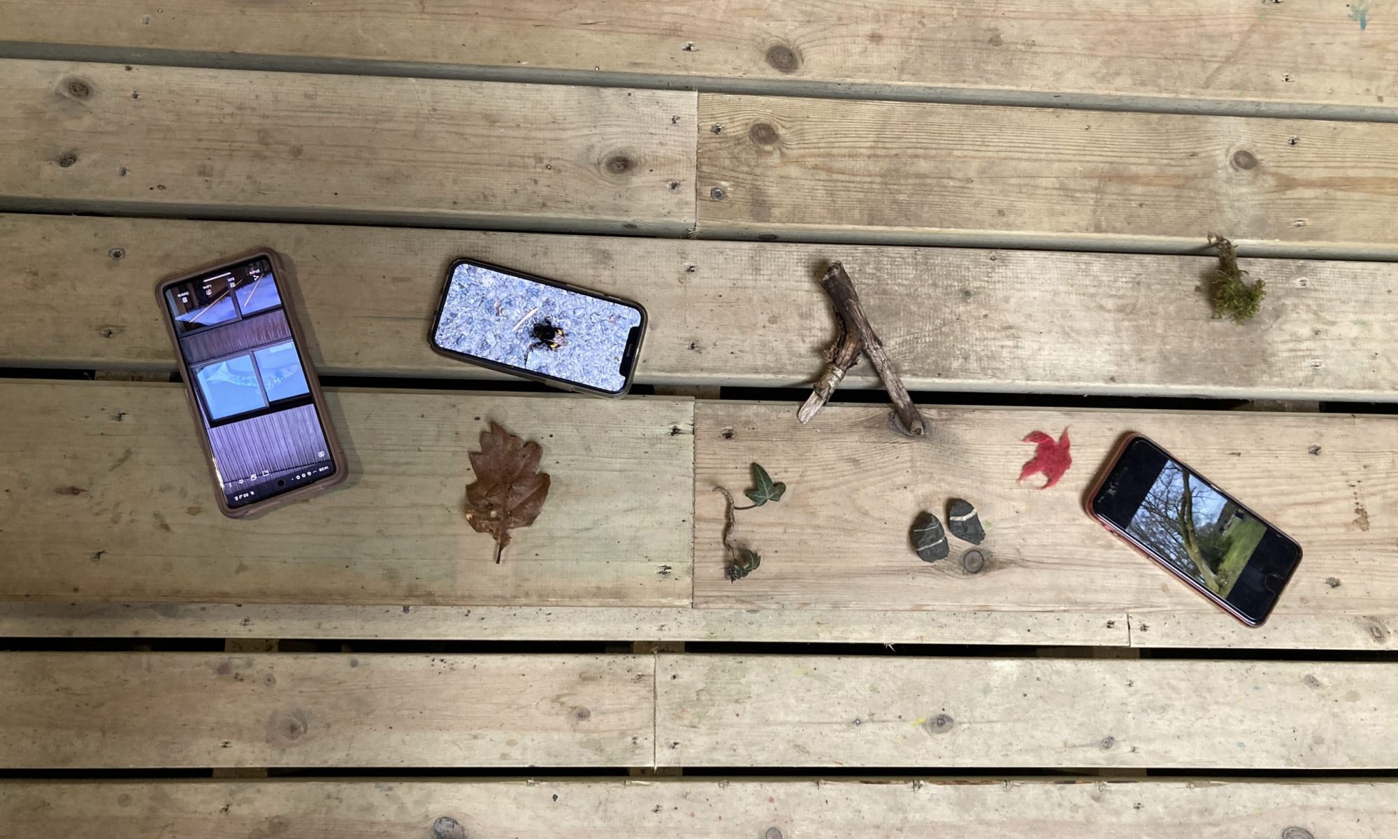 An image capturing phones, with there screens on, lay down on wooden plank flooring, alongside leaves and branches.