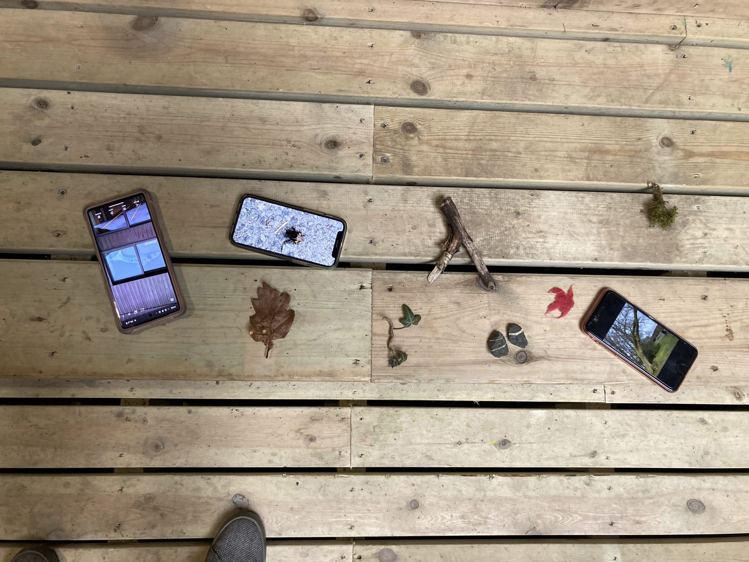 An image capturing phones, with there screens on, lay down on wooden plank flooring, alongside leaves and branches.
